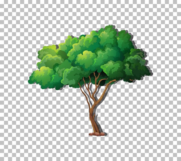 tree on transparent background