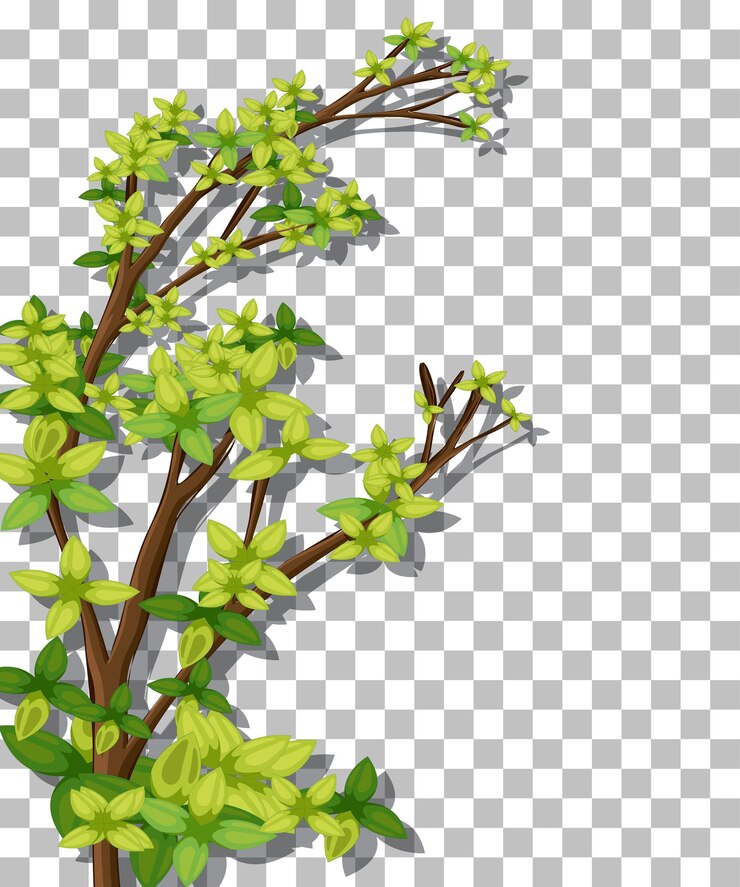 Free Vector tree on transparent background