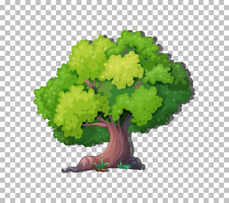 Free Vector tree on transparent background