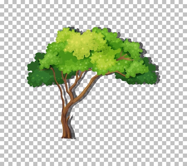 Free vector tree on transparent background