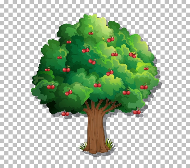 Free vector tree on transparent background