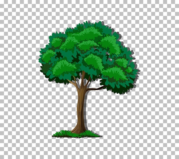 Free vector tree on transparent background