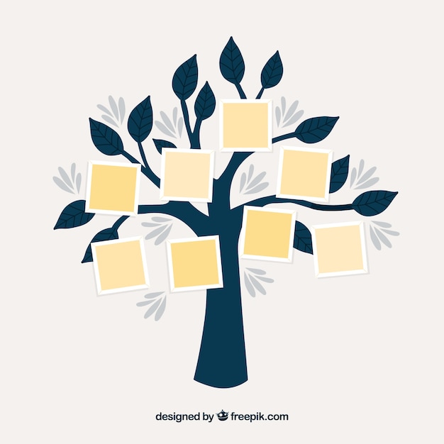 Free vector tree and various frames