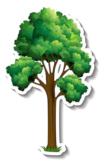 A tree with green leaves sticker on white background