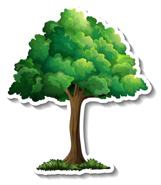 Free vector a tree with green leaves sticker on white background