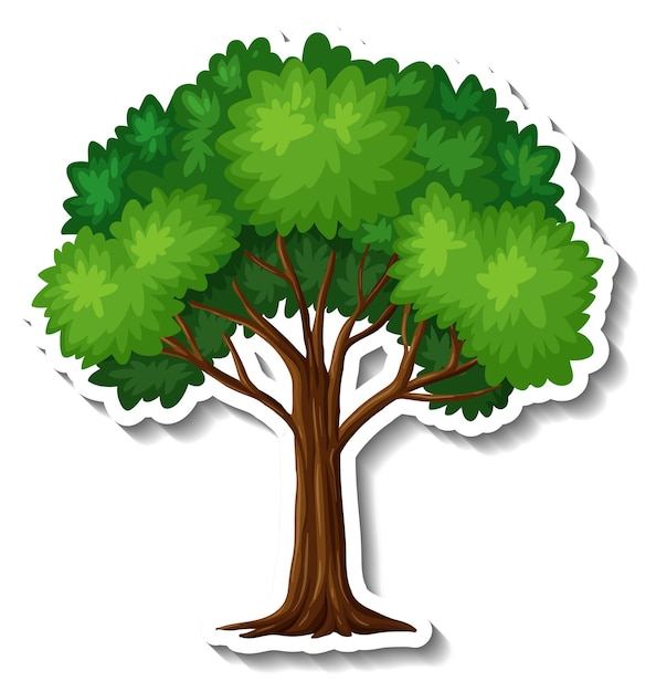 Free Vector a tree with green leaves sticker on white background