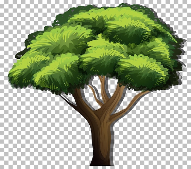 Vettore gratuito un albero con foglie verdi su sfondo trasparente