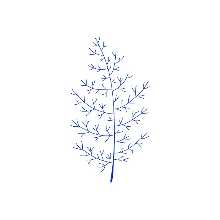 Free Vector tree