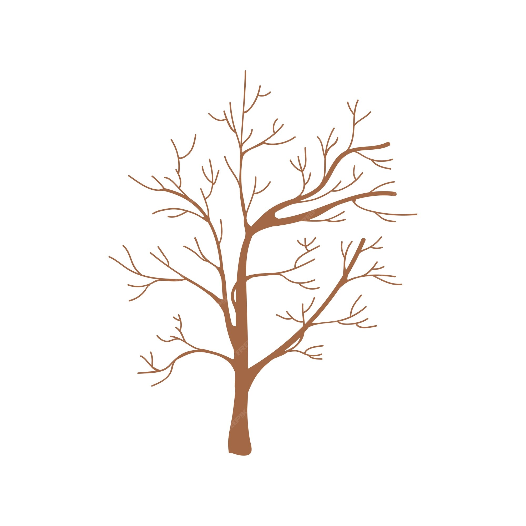 cartoon tree with branches no leaves