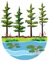 Free vector trees by the river scene