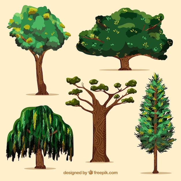 Vettore gratuito collezione di alberi in stile 2d