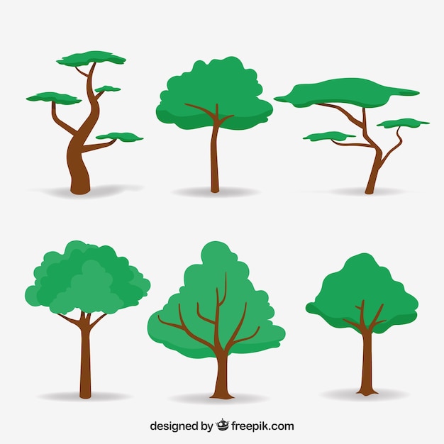 Trees collection in 2d style