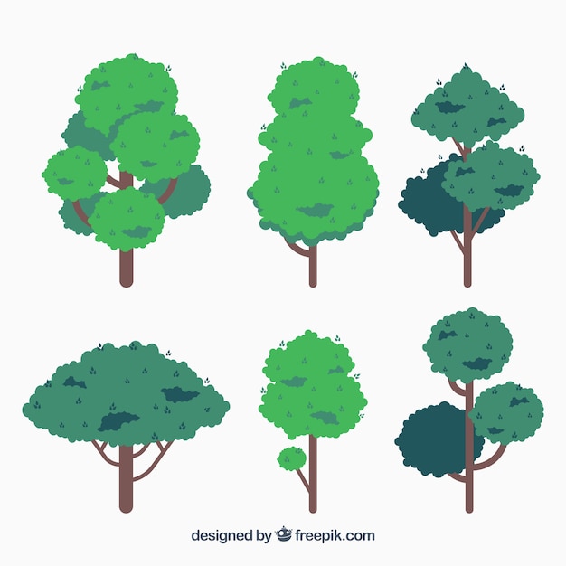 Trees collection in 2d style