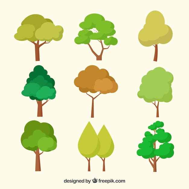 Trees collection in flat style