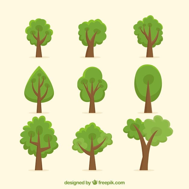 Free vector trees collection in flat style