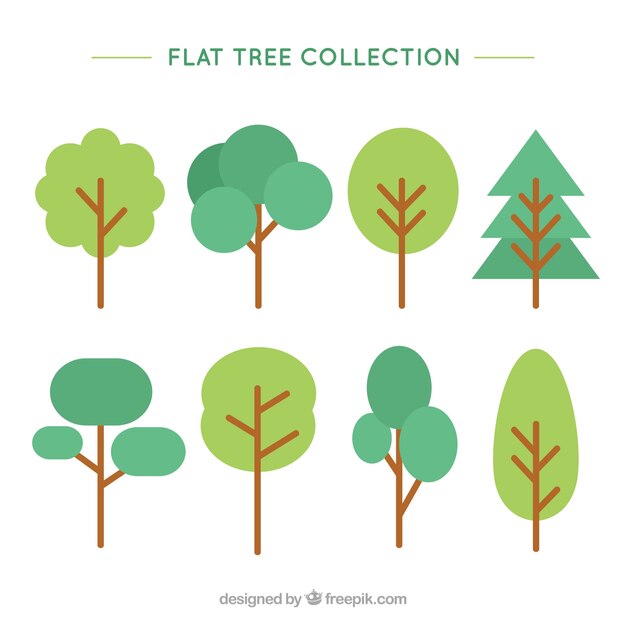 Trees collection in flat style 