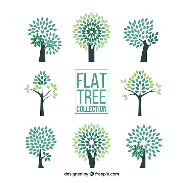 Free vector trees collection in flat style