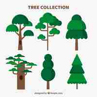 Free vector trees collection in flat style