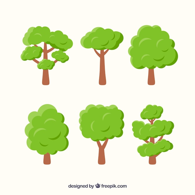Trees collection in flat style