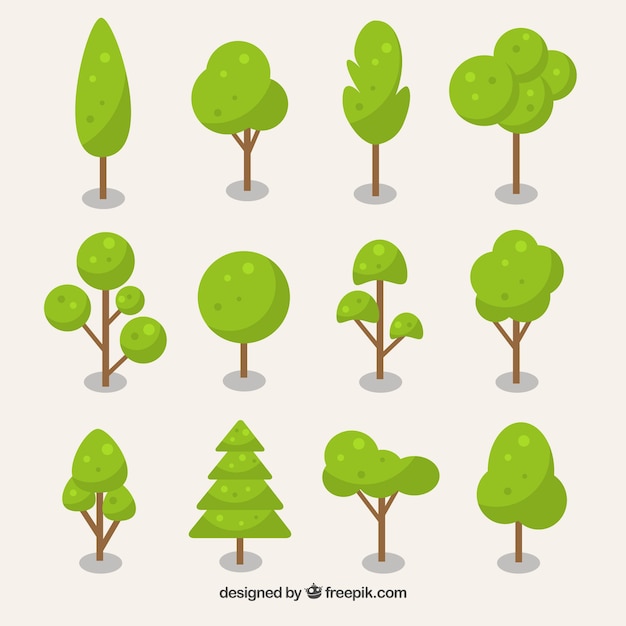 Trees collection in flat style