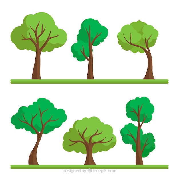 Trees collection in flat style