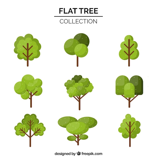 Trees collection in flat syle