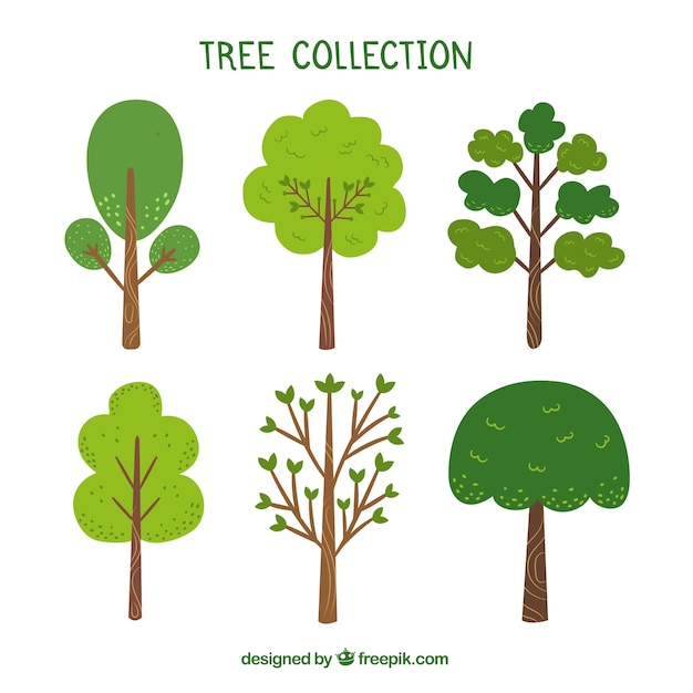 Trees collection in hand drawn style