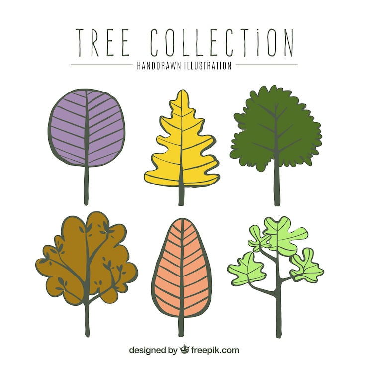 Free Vector trees collection in hand drawn style 