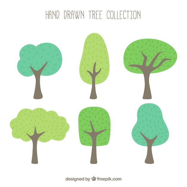 Trees collection in hand drawn style