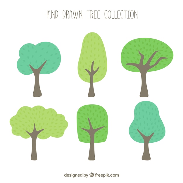 Коллекция деревьев в ручном стиле