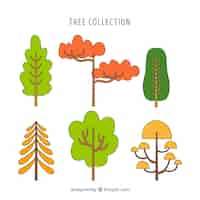 Free vector trees collection in hand drawn style