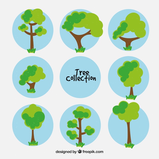 Trees collection in hand drawn style