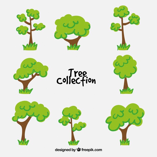 Trees collection in hand drawn style