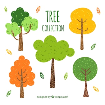 Tree Images Free Vectors Stock Photos Psd