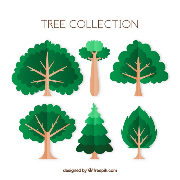 Trees collection in hand drawn style