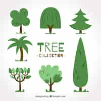 Vettore gratuito collezione di alberi stile disegnato a mano