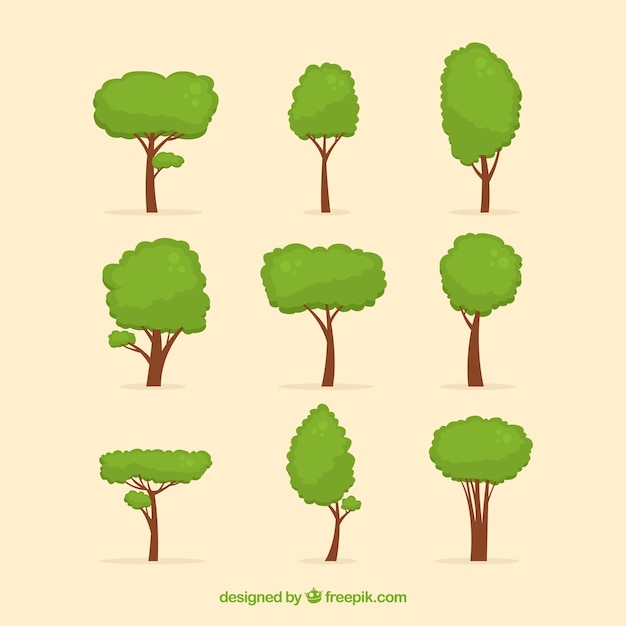 Бесплатное векторное изображение Коллекция деревьев в плоском стиле