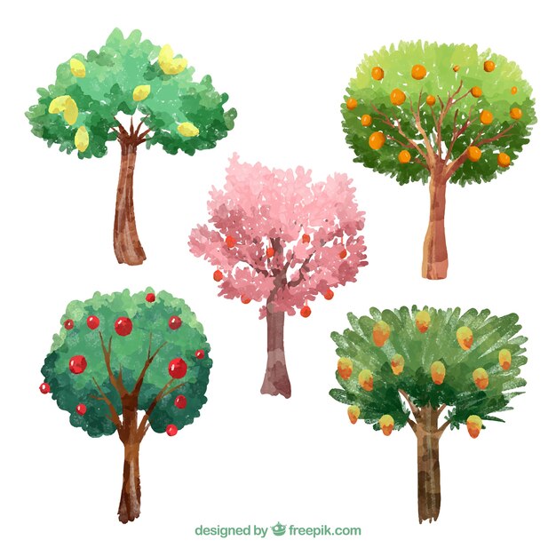 Trees collection in realistic style