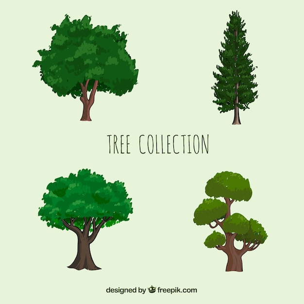 Trees collection in realistic style