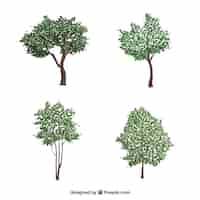 Vettore gratuito collezione di alberi in stile realistico