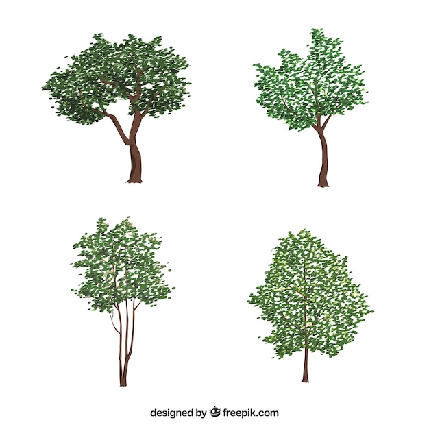 Trees collection in realistic style