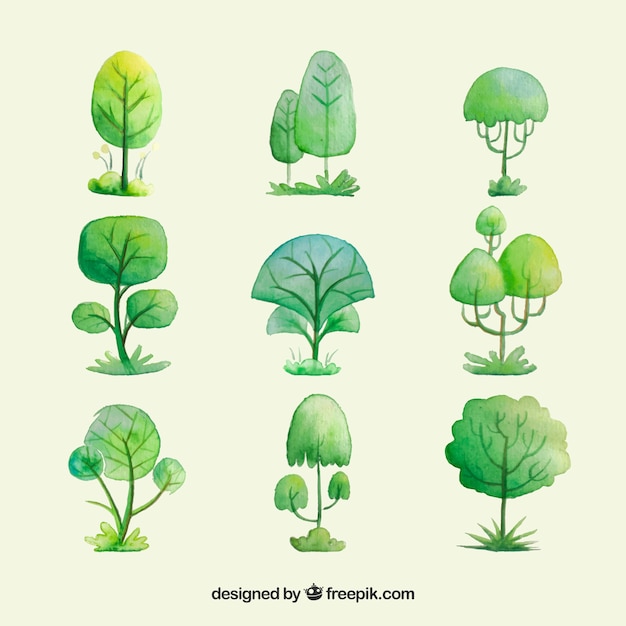 Free vector trees collection in watercolor style