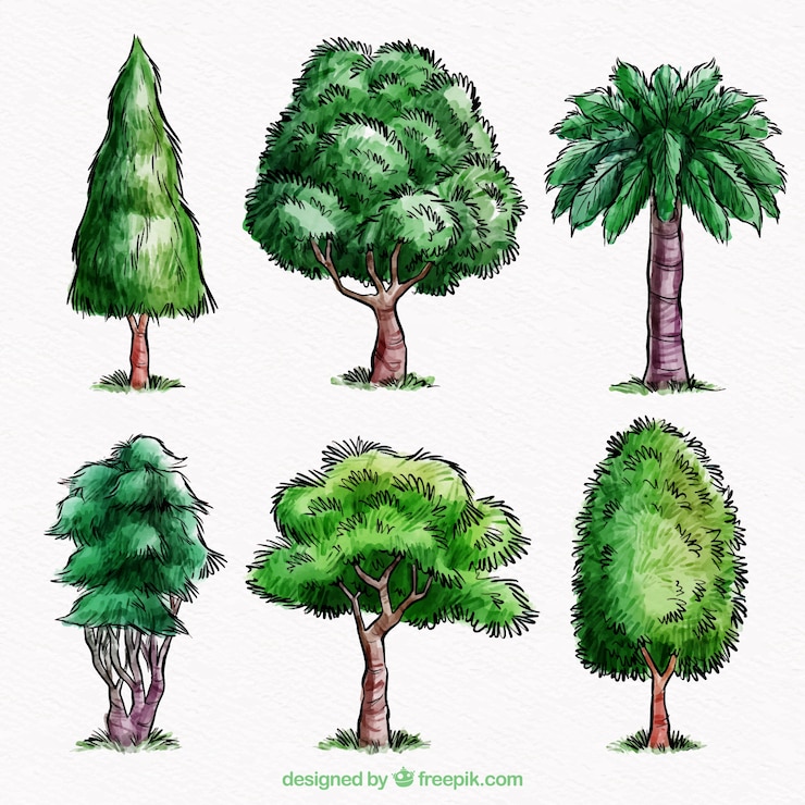 Free Vector trees collection in watercolor style 