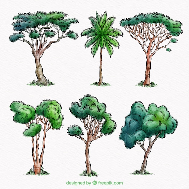 Free vector trees collection in watercolor style