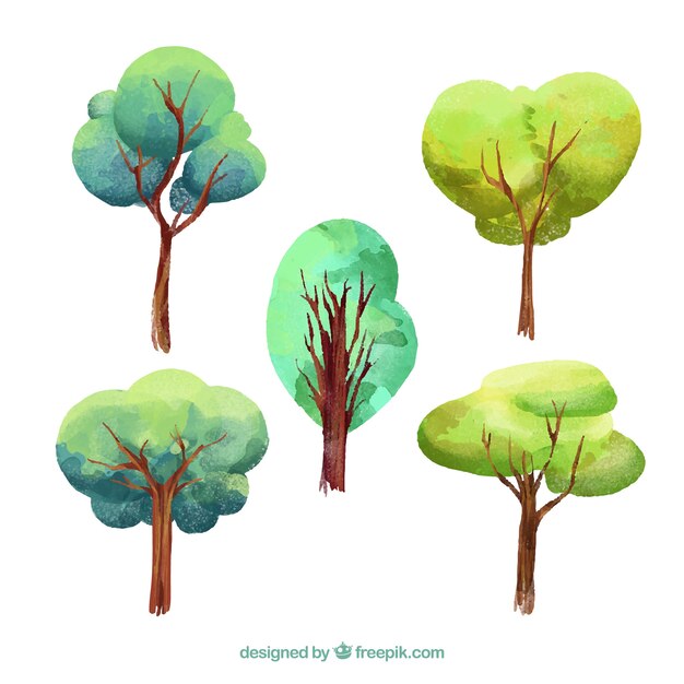 Trees collection in watercolor style