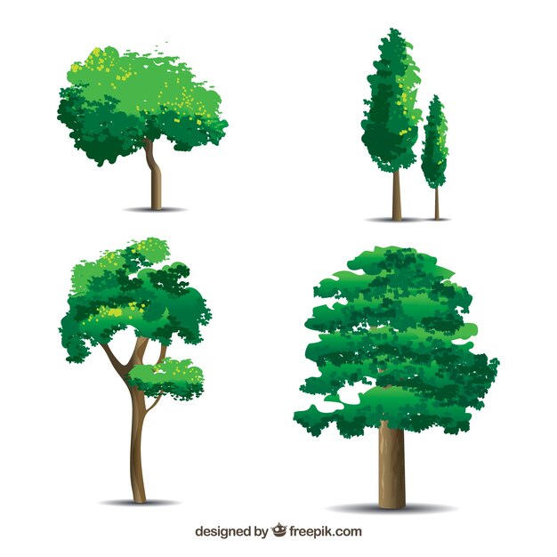 Trees collection with realistic style