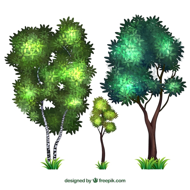 Free vector trees collection with realistic style