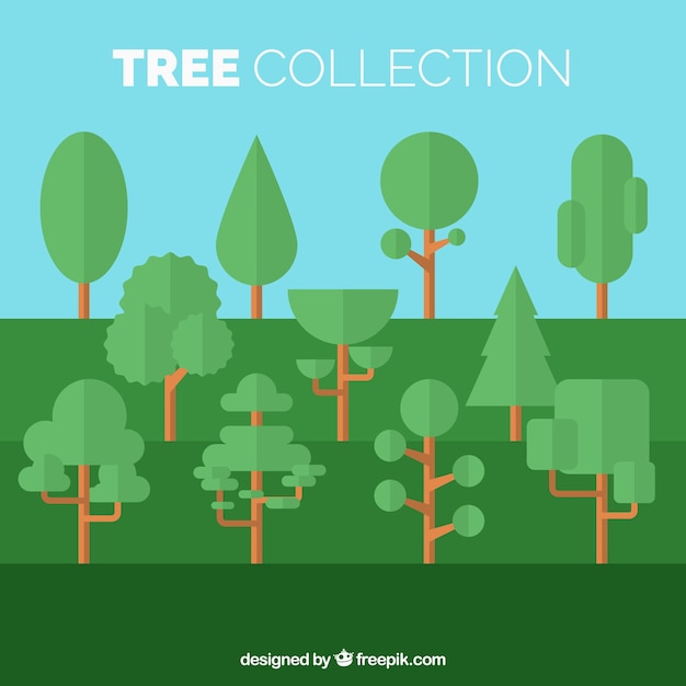 Trees of different shapes pack