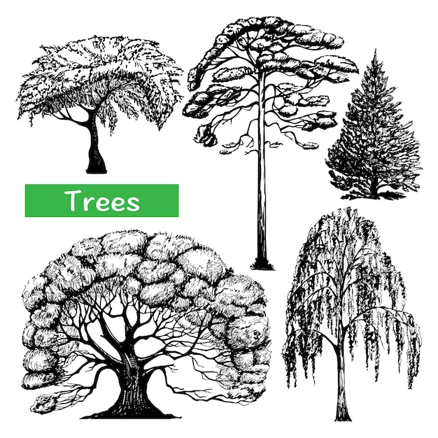 Free vector trees hand drawn black icons set