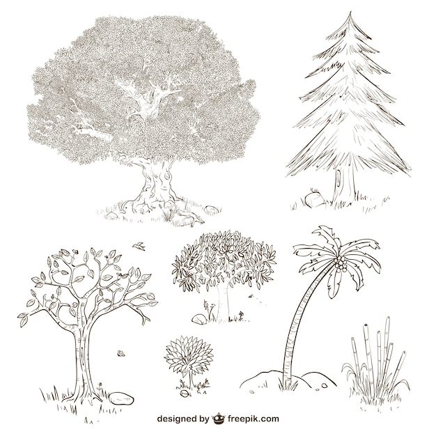 Free vector trees and plants drawings